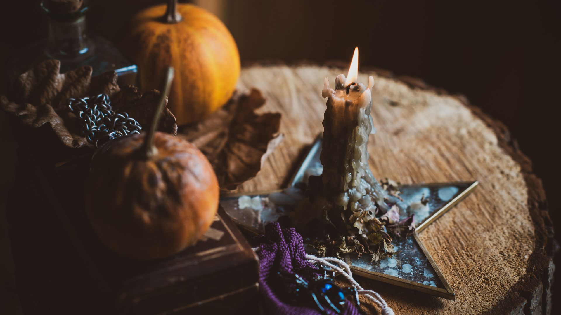 Alles wichtige, was du über Samhain wissen musst.