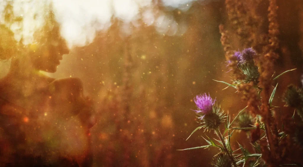 Blumenwiese mit goldener Sonne